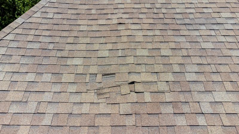 Asphalt Roof Inspection in Sunman, IN