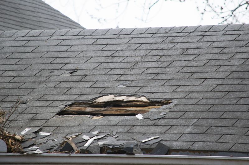Asphalt Roof Leak Repair in Florence, KY