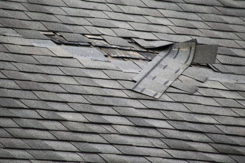 Asphalt Roof Leak Repair in Versailles, IN