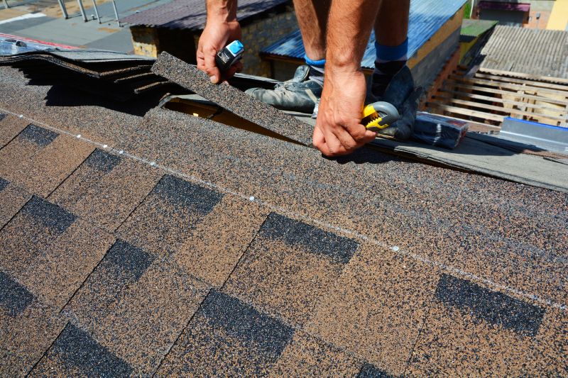 Asphalt Roof Repair in Burlington, KY