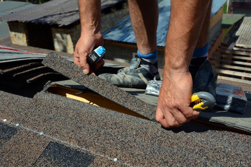 Asphalt Roof Repair in Union, KY