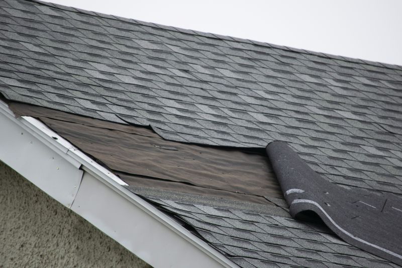 Asphalt Shingles Repair in Sunman, IN