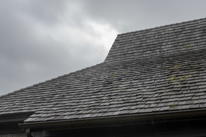 Cedar Shingles Replacement in Florence, KY