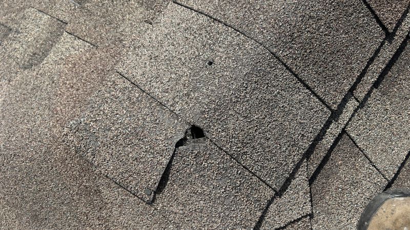 Damaged Roof Repair in Versailles, IN