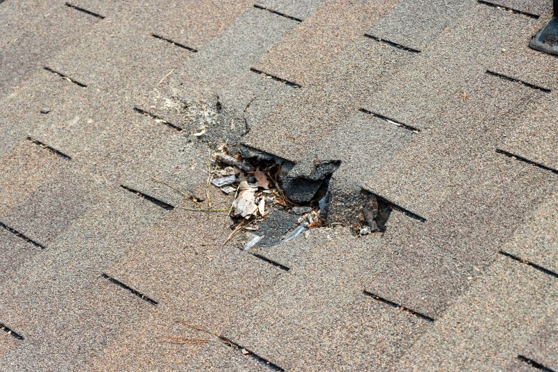 Damaged Roof Replacement in Covington, KY