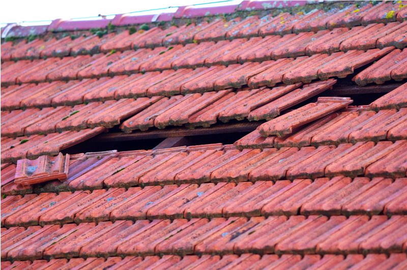 Roof Damage Inspection in Miamitown, OH