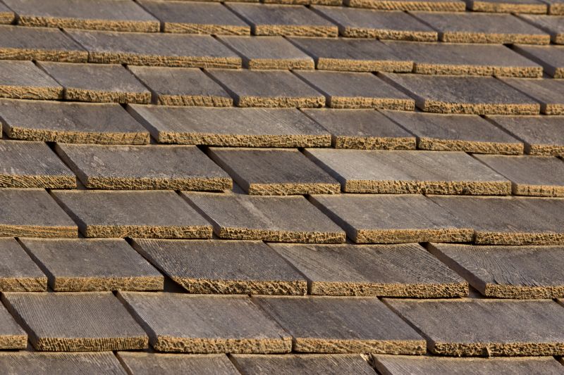 Shake Shingle Repair in Rising Sun, IN