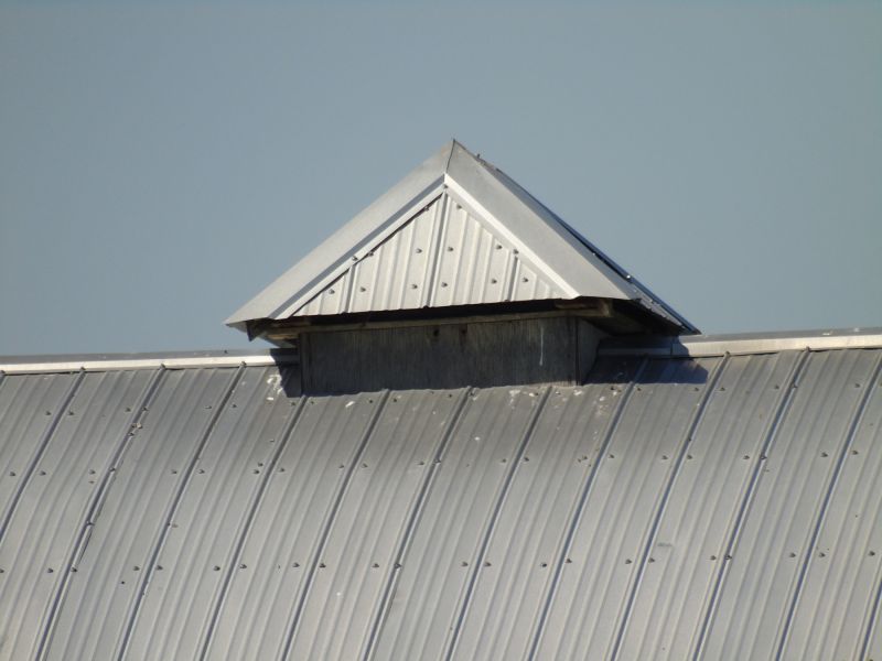 Tin Roof Installation in Aurora, IN