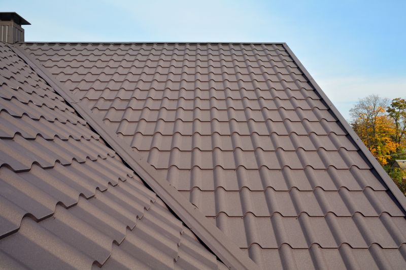 Tin Roof Installation in Miamitown, OH