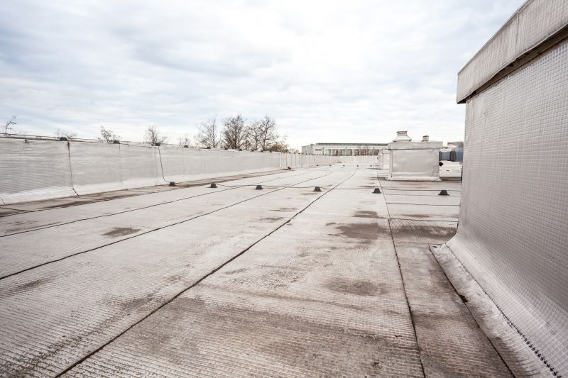 Tpo Roof Repair in Versailles, IN