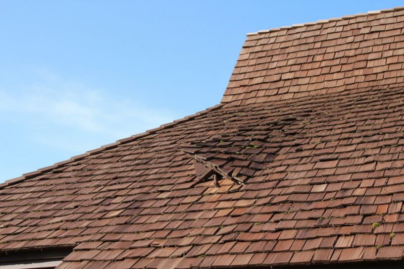 Wood Shake Roof Replacement in Burlington, KY
