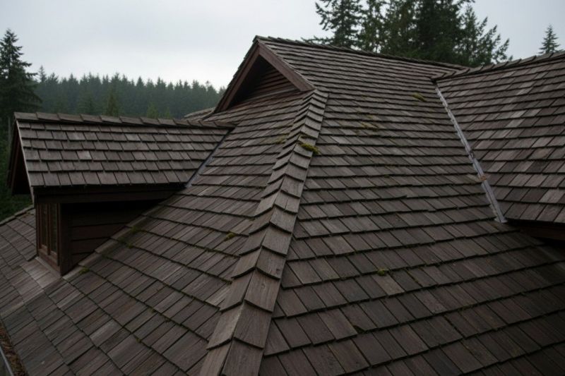 Wood Shake Roof Replacement in Guilford, IN